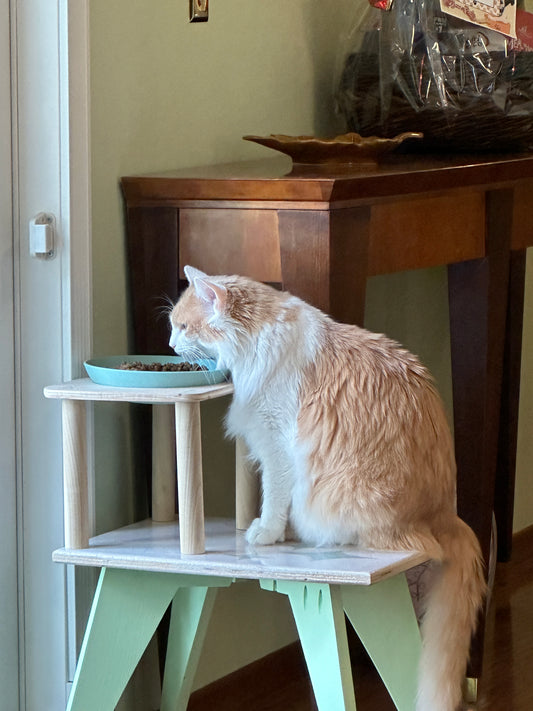 Mid Century Modern Pet Bowl Stand